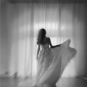 Meet your Posher, Barbara